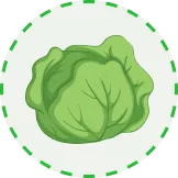 用专业数据，点燃电竞激情 - 极速电竞数据