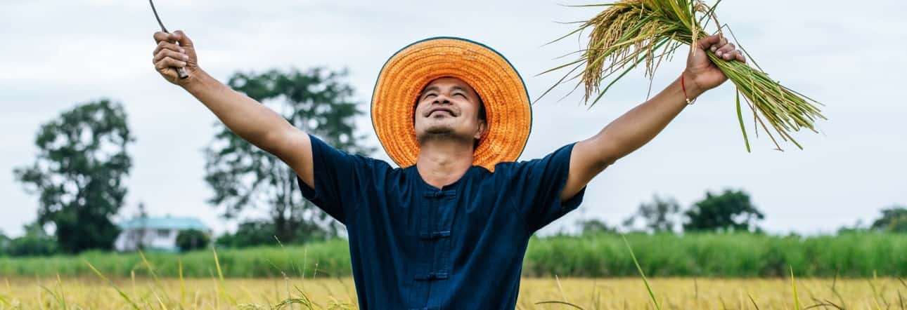 极速电竞数据