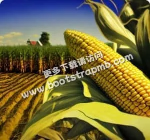 我们专注于电竞，服务电竞 - 极速电竞数据
