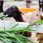 搜索 - 极速电竞数据
